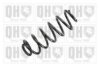 QUINTON HAZELL QCS6096 Coil Spring